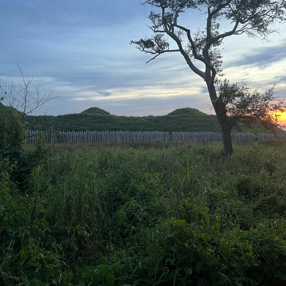 Meet your Posher, Angie - Picture 2 of 2